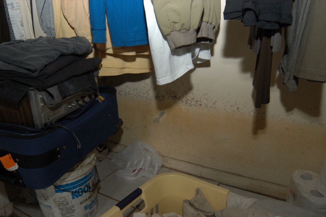 Mold growth in a dense band above the flood waterline on a painted closet wall, with clothing hanging above and a clear tide line marking how high the water stood