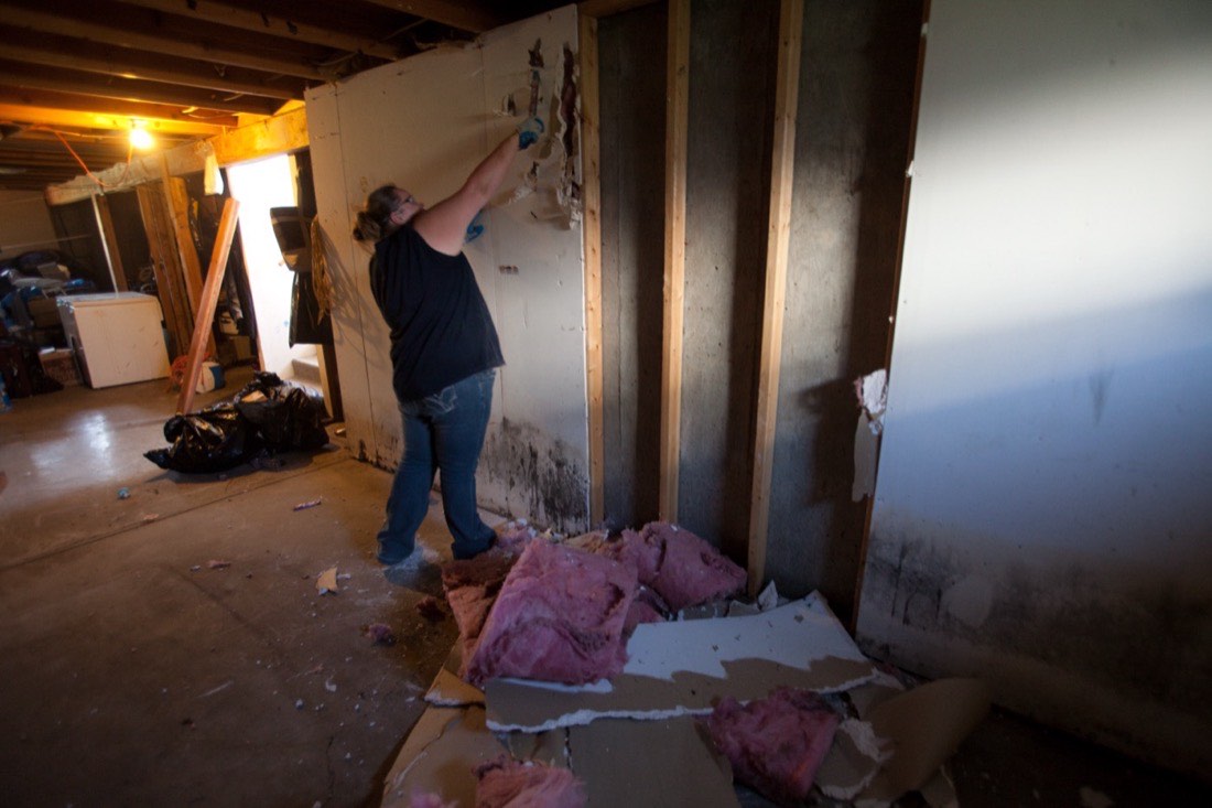 A remediation worker cutting moldy drywall away from a flooded basement wall, with dark growth along the base of the board, exposed studs and pink insulation piled on the floor